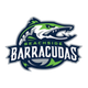 Beachside Barracudas Football