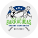 Beachside Sports Reporting