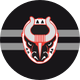 Birmingham Bulls