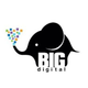 BIG Digital