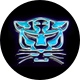 Birmingham Panthers Netball | NSL 2025