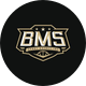 BMS SPORT AGENCY INC
