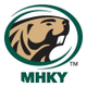 BSU Men's Hockey