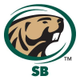 Bemidji State Beavers Softball