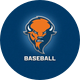Bucknell University Baseball