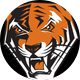 buffalostatembb