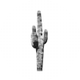 Cactus Culture