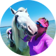 Cponies.com