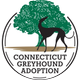 Connecticut Greyhound Adoption