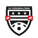 D.C. Pickleball Team