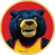 Deacon the Bloomfield Bear