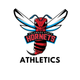 Delaware State Athletics