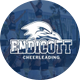 Endicott College Cheer