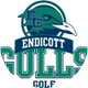 endicottmgolf