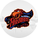 Albany Firebirds