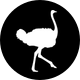 Flying Ostrich Media, Inc.