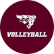 uOttawa Volleyball (W/F)