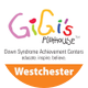 GiGi's Playhouse Westchester
