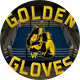 Golden Gloves VR