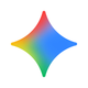 Google Gemini app