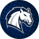 Hillsdale Chargers