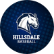 Hillsdale College Baseball