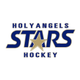 Academy of Holy Angels Boys Hockey