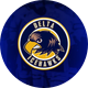 Delta Ice Hawks
