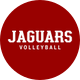 IU Indy Volleyball