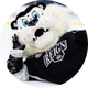 kingstonreign909