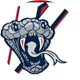 Lasalle Vipers Hockey Club