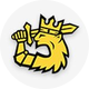 Leijonat.com – Fanien asialla