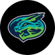 Lynchburg Hillcats