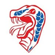 Florida Southern Ice Hockey