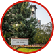 Montclair State University Village Apartments
