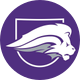 Nelson University 🦁 (formerly SAGU)
