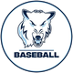 Northwood University Timberwolves Baseball