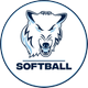 Northwood University Softball