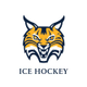 Quinnipiac Women's Ice Hockey