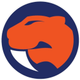 Sandringham Sabres