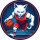 Kansas Sandycats Intramural Men’s Basketball