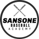 Sansone Baseball Academy