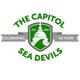 Sea Devil Swimming