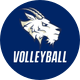 St. Edward’s University Volleyball
