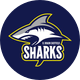 B. Braun Sheffield Sharks