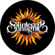 Splintered Sunlight