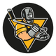 Steamfitters 449 Hockey Club