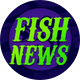 TALKING FISH NEWS