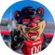 The Cincy Bearcat