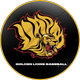 Golden Lions Baseball